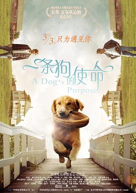 亚洲欧美色婷婷